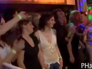 Knal wild patty bij nacht club hanen en pusses elk waar